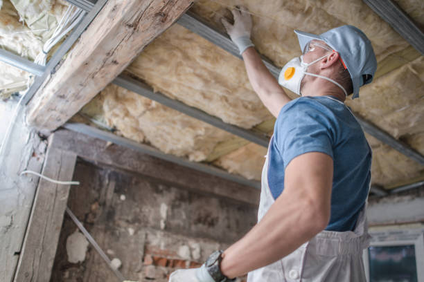 Best Blown-in Insulation in New Deal, TX