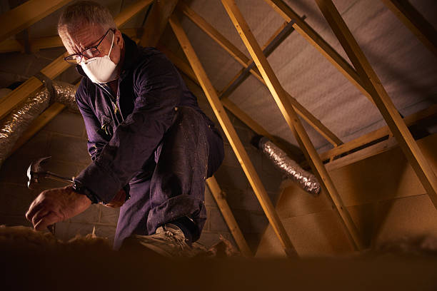 Best Geographic-Specific Insulation Services in New Deal, TX