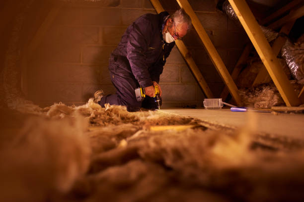 Best Cellulose Insulation in New Deal, TX